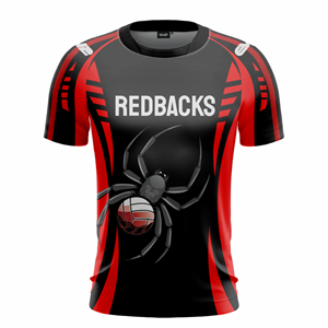 Volleyball Vikings 2 Club Jersey ($29 - $41). (x 18)