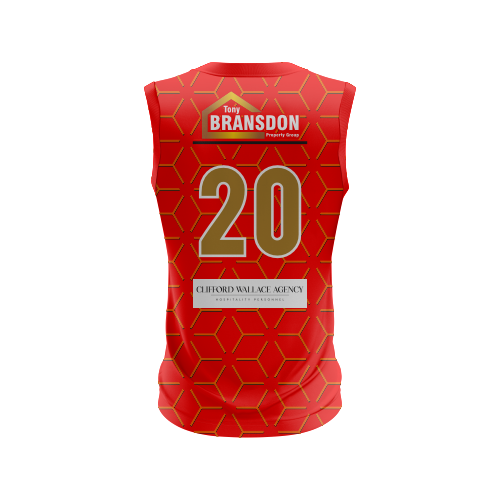 Phoenix Firebirds - Cricket Vest