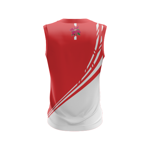 Brisbane Veterans Cricket - Cricket Vest