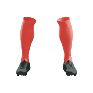 Champion Pack Price ($130) Plain Pack Long Socks ($11). (x 30)