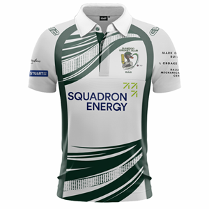 Cricket Auscom Champion Shirt ($38 - $51). (x 25)