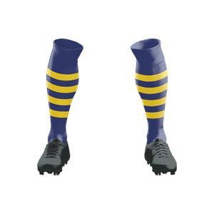 Socks 040 Dark Royal/4 Gold Hoops Stock Long Socks ($12 - $14). (x 24)
