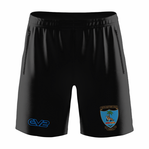 Shorts Blank Champion Short ($30 - $41). (x 38)