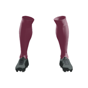 Champion Pack Price ($130) Plain Pack Long Socks ($11). (x 40)